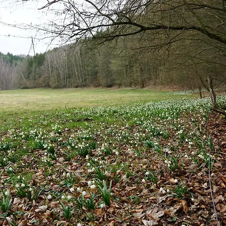 Apartmán Familie Frank *